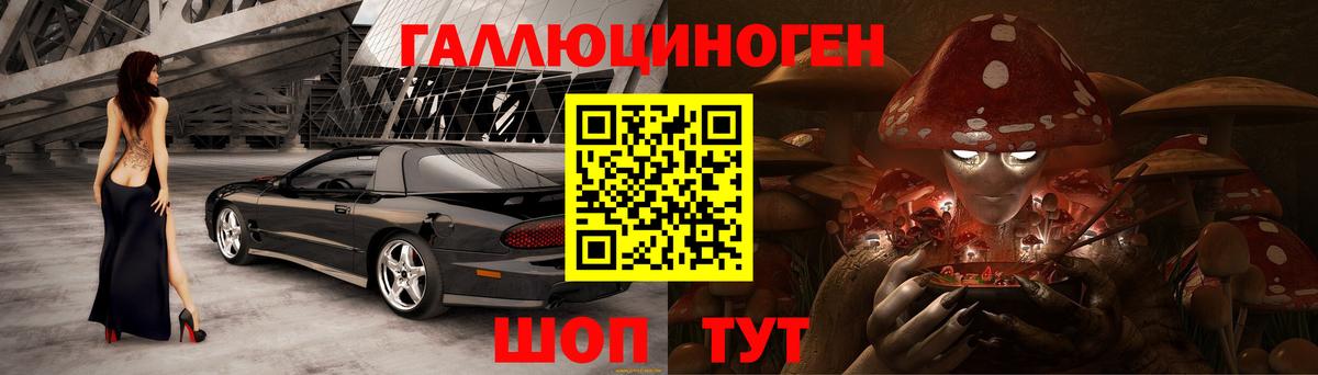 Петропавловск-Камчатский  Псилоцибиновые грибы MAGIC MUSHROOMS  Вход с VPN 